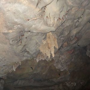 Nam Talu Cave