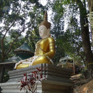Buddha - Doi Suthet