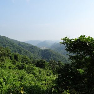 Vue panoramique du parc