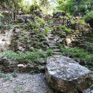 La Milpa Archaeological site
