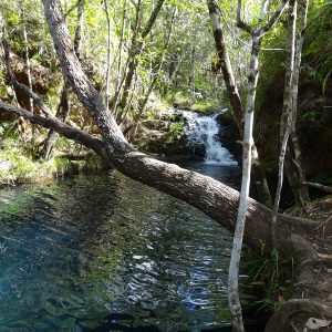 Secret Pools and Falls (Hidden Valley Reserve)