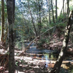 Secret Pools Trail (Hidden Valley Reserve)