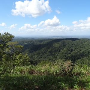 Panorama (Hidden Valley Reserve)
