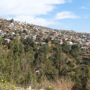 Cerro Bellavista