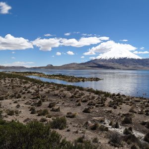 Volcan Parinacota - Lac Chungará