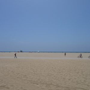 Bike Path - Venice Beach