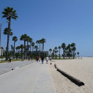Bike Path - Venice Beach 