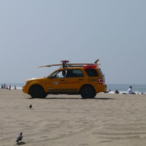Lifeguard - Venice Beach