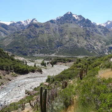 Reserva Nacional Río Los Cipreses (Chili)