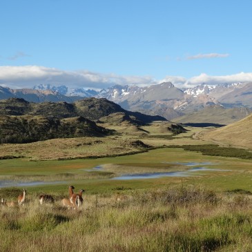 Parque Patagonia (Chili & Argentine)