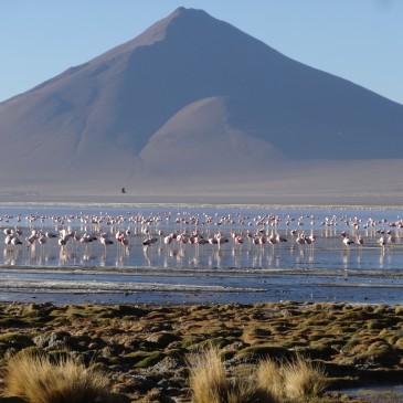 Sur Lípez, Reserva Nacional de Fauna Andina Eduardo Avaroa & Salar de Uyuni 1 (Bolivie)