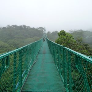 Puente colgante
