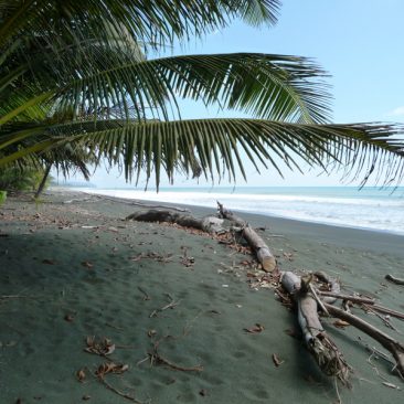 Playa Carate & Bahía Drake – Península de Osa