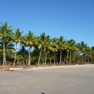 Playa Carmen - Entre Malpais & Santa Teresa