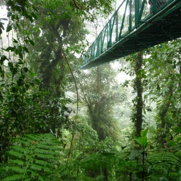 Reserva Bosque Nuboso Santa Elena – Área de Conservación Arenal Tempisque