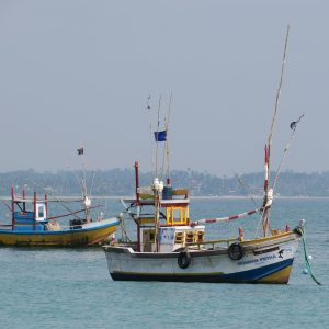 Bateaux de pêcheurs