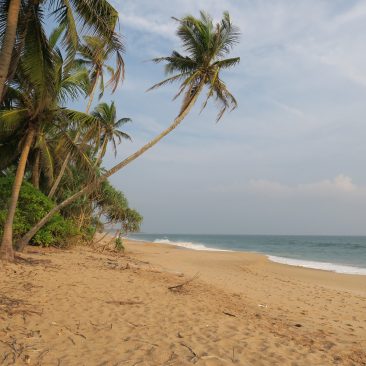 South Coast : from Tangalle to Colombo